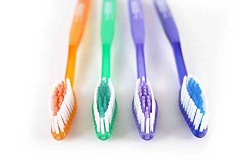 Vivid UniBrush II Pre-Pasted Toothbrushes, 1,000 Pack