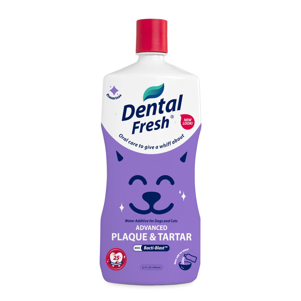 Plaque and Tartar Removal Dental Cleaning Treatment