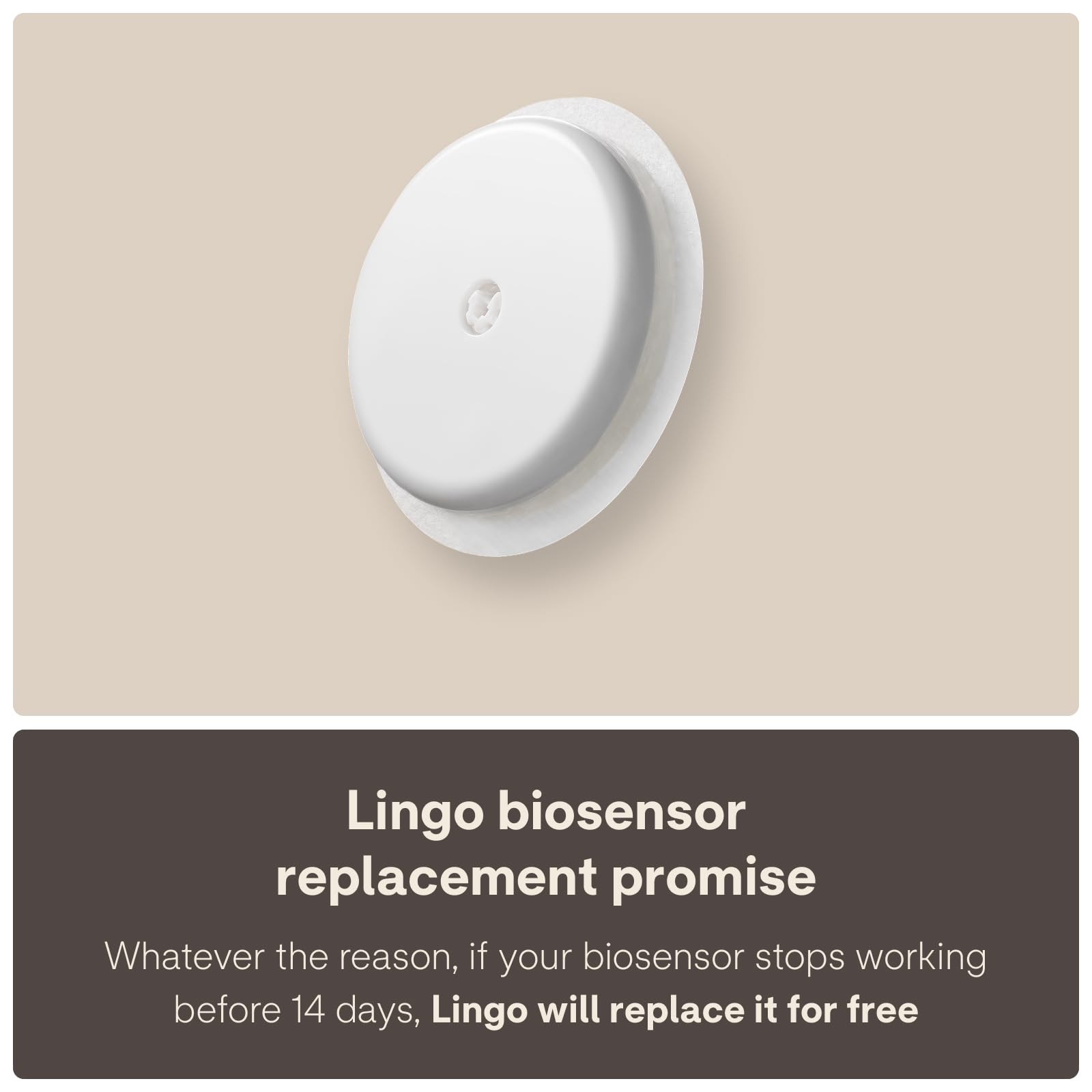Lingo Continuous Glucose Monitor for Food Impact Insights
