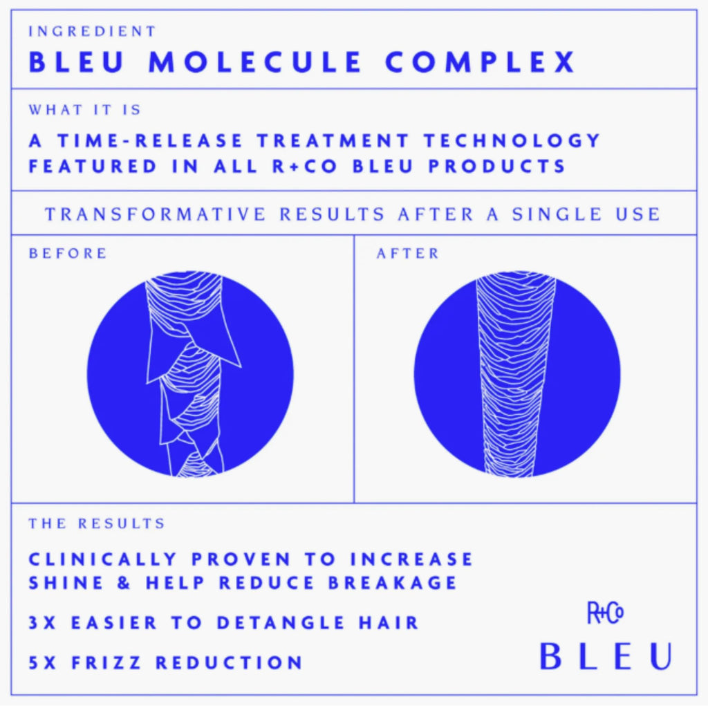 R+Co BLEU Essential Shampoo and Conditioner Liter Set