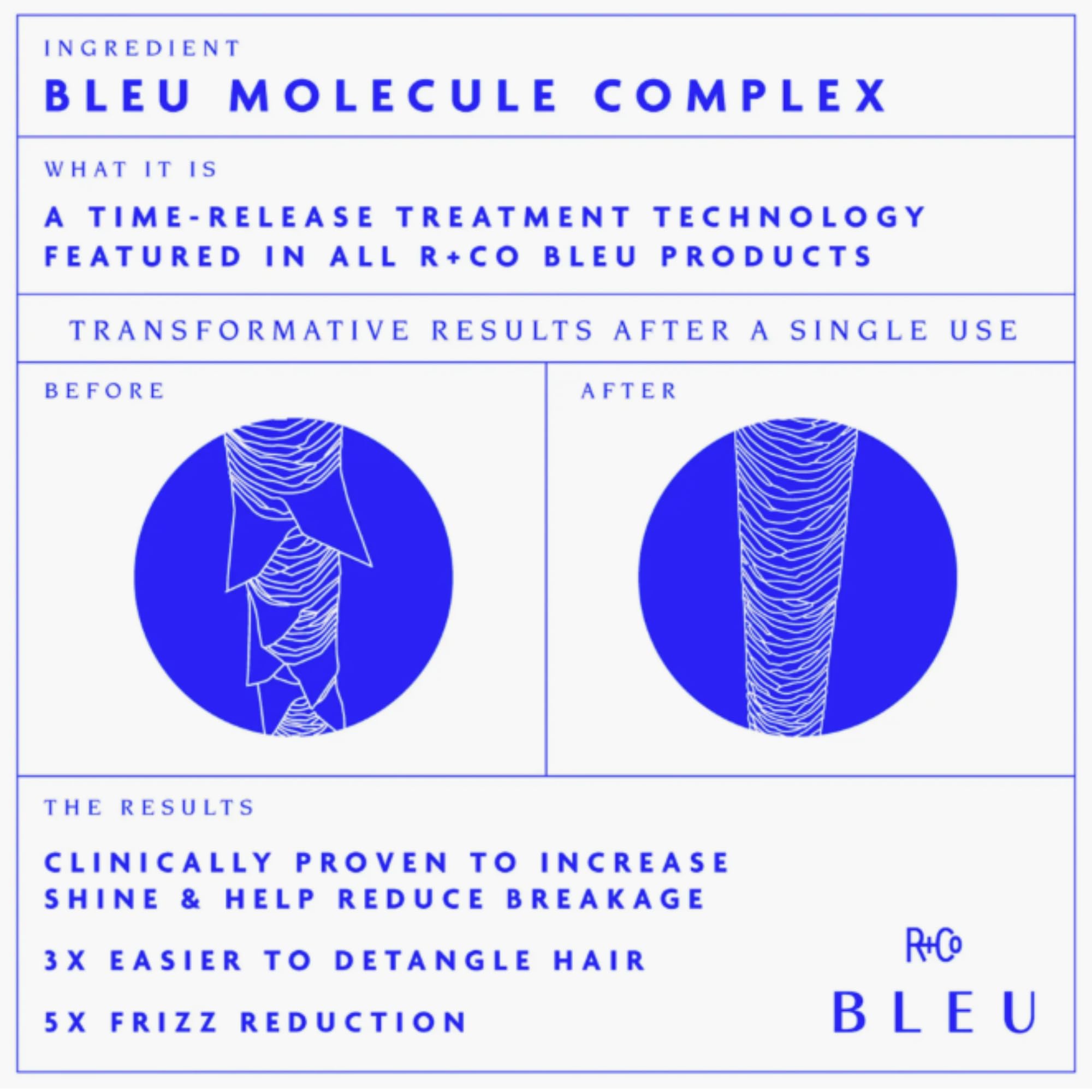 R+Co BLEU Essential Shampoo and Conditioner Liter Set
